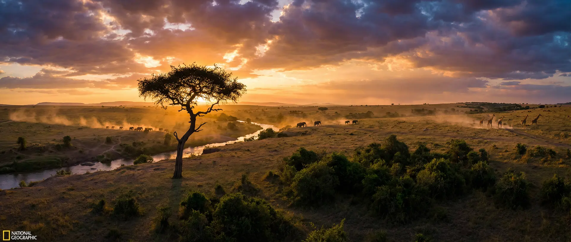 非洲草原 - 小宝探花 人文纪实影像